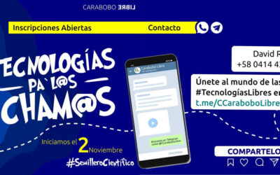 Curso Virtual: Tecnologías pa´l@s cham@s